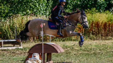 Campeonato de España de Ponis