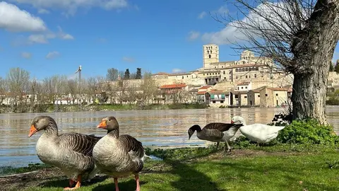 día soleado en Zamora
