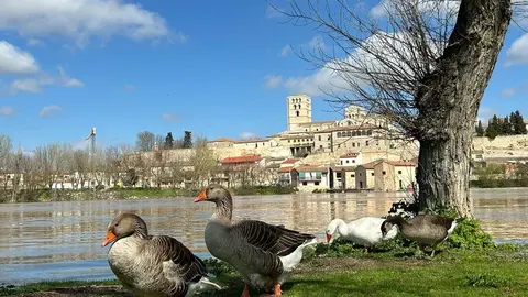 día soleado en Zamora _2