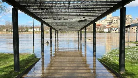 El Duero a su paso por Zamora _3