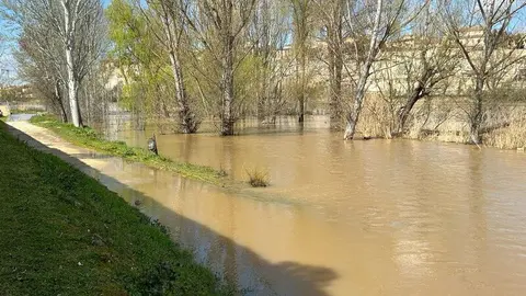 El Duero a su paso por Zamora _13