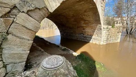 El Duero a su paso por Zamora _14