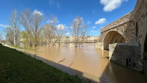 El Duero a su paso por Zamora _15