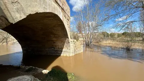 El Duero a su paso por Zamora _16