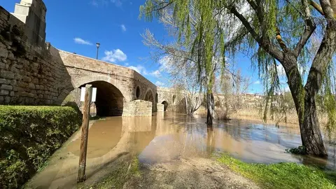 El Duero a su paso por Zamora _18