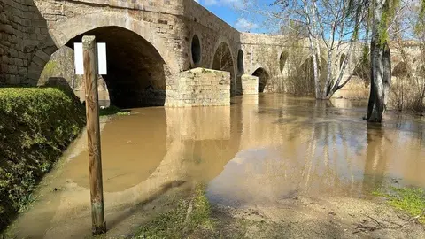 El Duero a su paso por Zamora _17