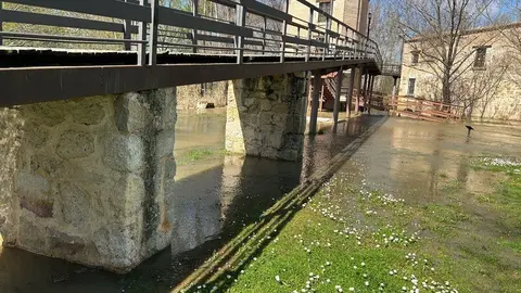 El Duero a su paso por Zamora _21