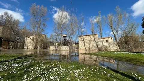 El Duero a su paso por Zamora _22