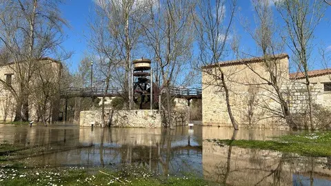 El Duero a su paso por Zamora _23