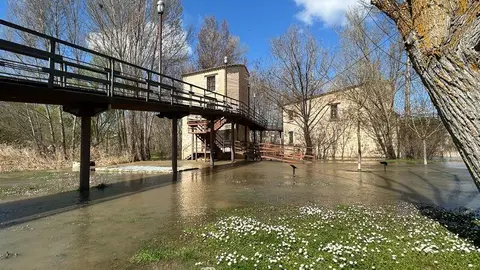 El Duero a su paso por Zamora _25