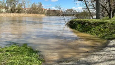 El Duero a su paso por Zamora _26