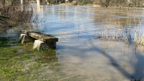 El Duero a su paso por Zamora _27