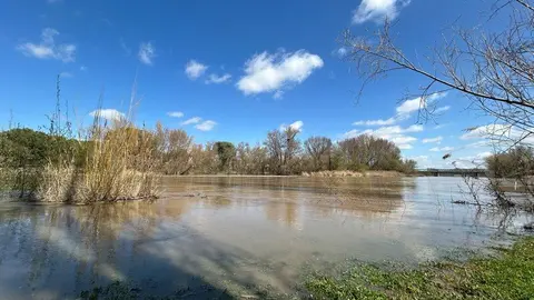 El Duero a su paso por Zamora _29