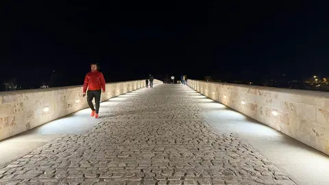 puente de piedra de Zamora de noche _3