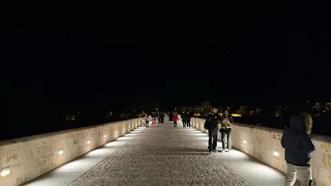 puente de piedra de Zamora de noche _4