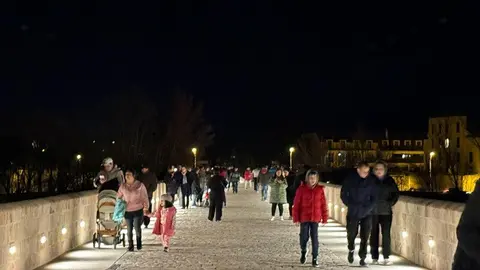 puente de piedra de Zamora de noche _5