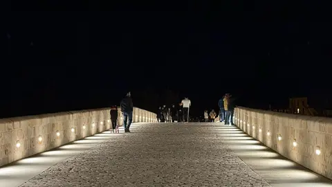 puente de piedra de Zamora de noche _6