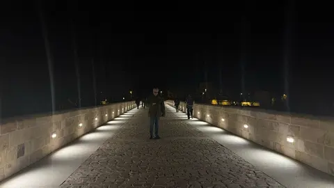 puente de piedra de Zamora de noche _8