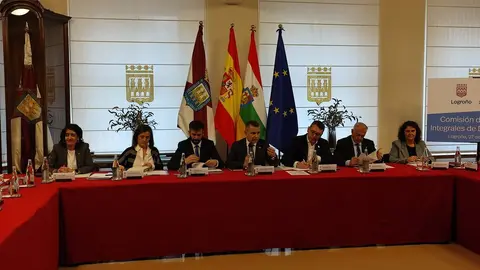 Comisión FEMP Logroño (2)