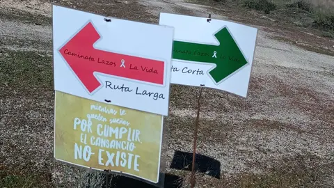 castro de alcañices ruta por la vida (1)