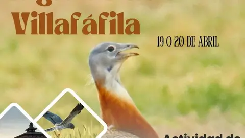 Observación Lagunas Villafáfila