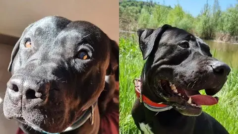 WhatsApp Image 2025-03-30 at 18.10.49