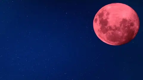 Luna Rosa