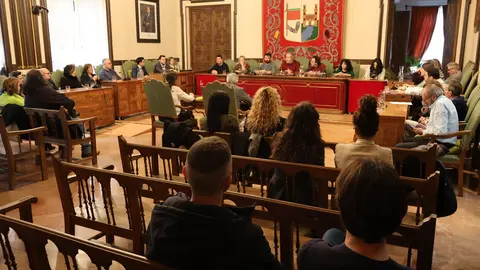 Pleno extraordinario