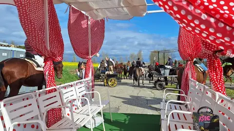 camino flamenco de morales a pontejos (37)