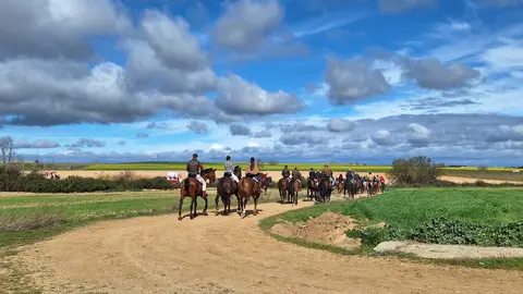 camino flamenco de morales a pontejos (10)