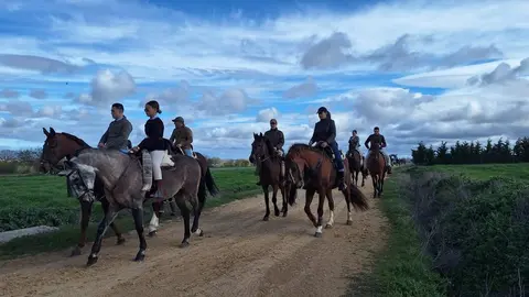 camino flamenco de morales a pontejos (14)