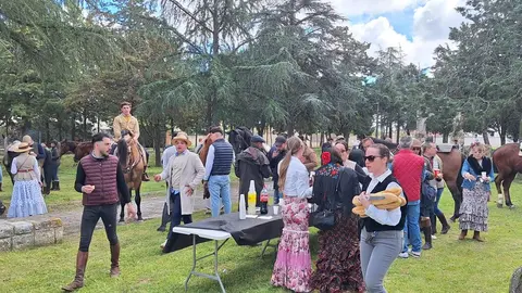 camino flamenco de morales a pontejos (40)