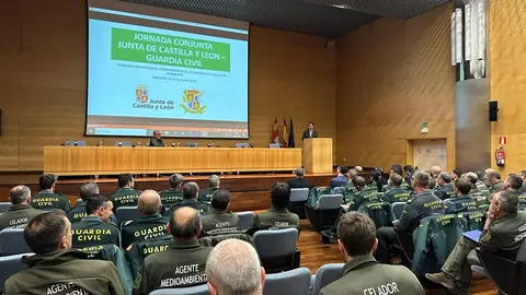 Técnicos y agentes se reúnen para fortalecer la cooperación en el medio natural de Castilla y León