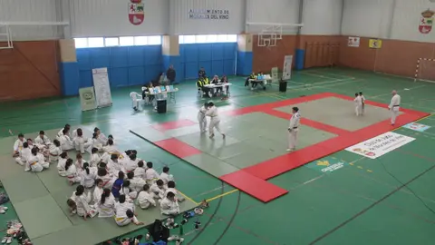 El judo zamorano se luce en Europa