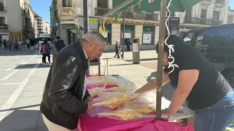 puesto de palmas