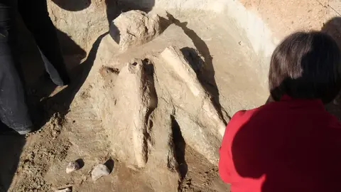 Trabajos de extracción de la defensa del mastodonte