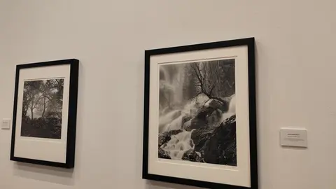 El alma de Sayago, retratada en el Museo de Zamora