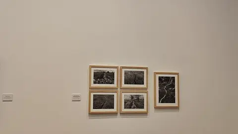 El alma de Sayago, retratada en el Museo de Zamora