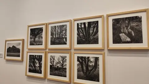 El alma de Sayago, retratada en el Museo de Zamora