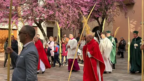 La celebración del Domingo de Ramos arranca en Zamora con la tradicional bendición de palmas