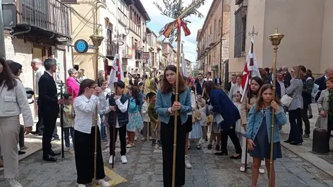 borriquita toro _6