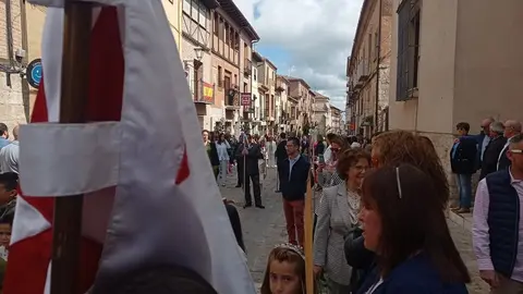 borriquita toro _3