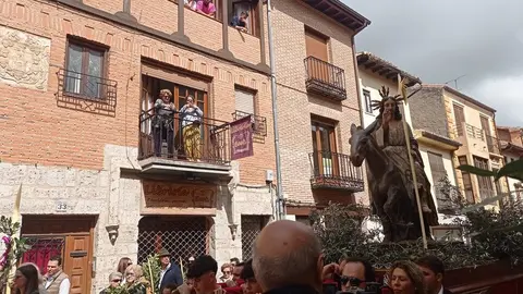 borriquita toro _5