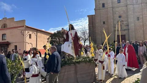 fuentesaúco borriquita3