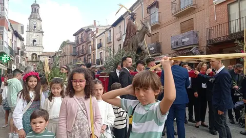 borriquita toro zamora