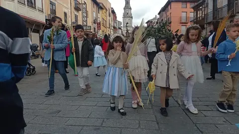 borriquita toro zamora14