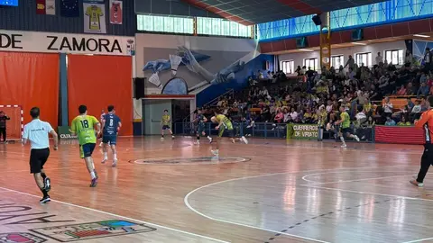 BM Zamora vs Horizonte Atlética Avilesina