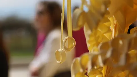 Domingo de Ramos en Zamora, los niños protagonistas
