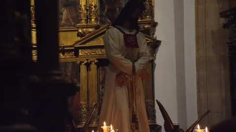 misericordia toro _8