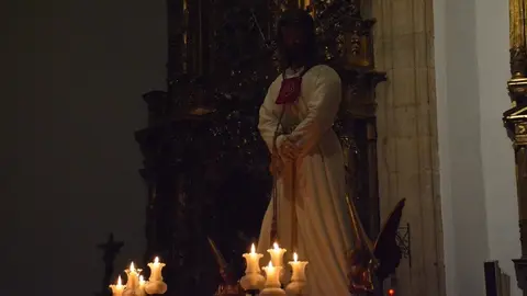 misericordia toro _19